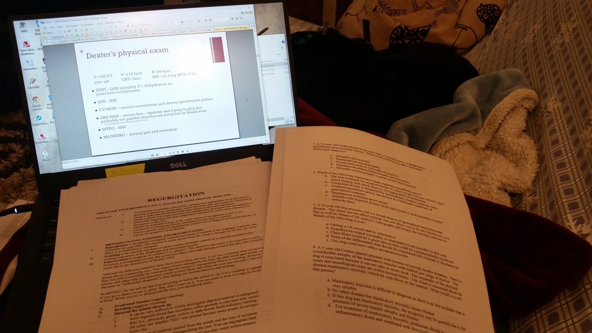 EliseBirkner's tweet photo. Less than 24 hrs till Small Animal Med tomorrow and I just started GI. #3VM #Vetschoollife #thisisgonnagowell #actuallyitsnot #theweathermatchesmyattitude #wishIcouldtradeplaceswithmydog https://t.co/B4c4QbtYg6