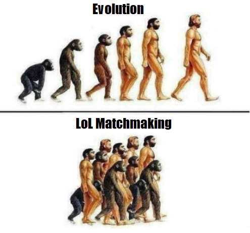 🐒🐒🐒🐒🐒🐒