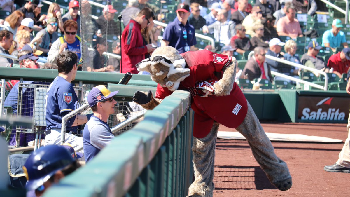 It’s time to #PlayBall as the #CactusCrew takes on the D’backs this afternoon at Salt River Fields. #MILatARI https://t.co/qlYYdGRA10