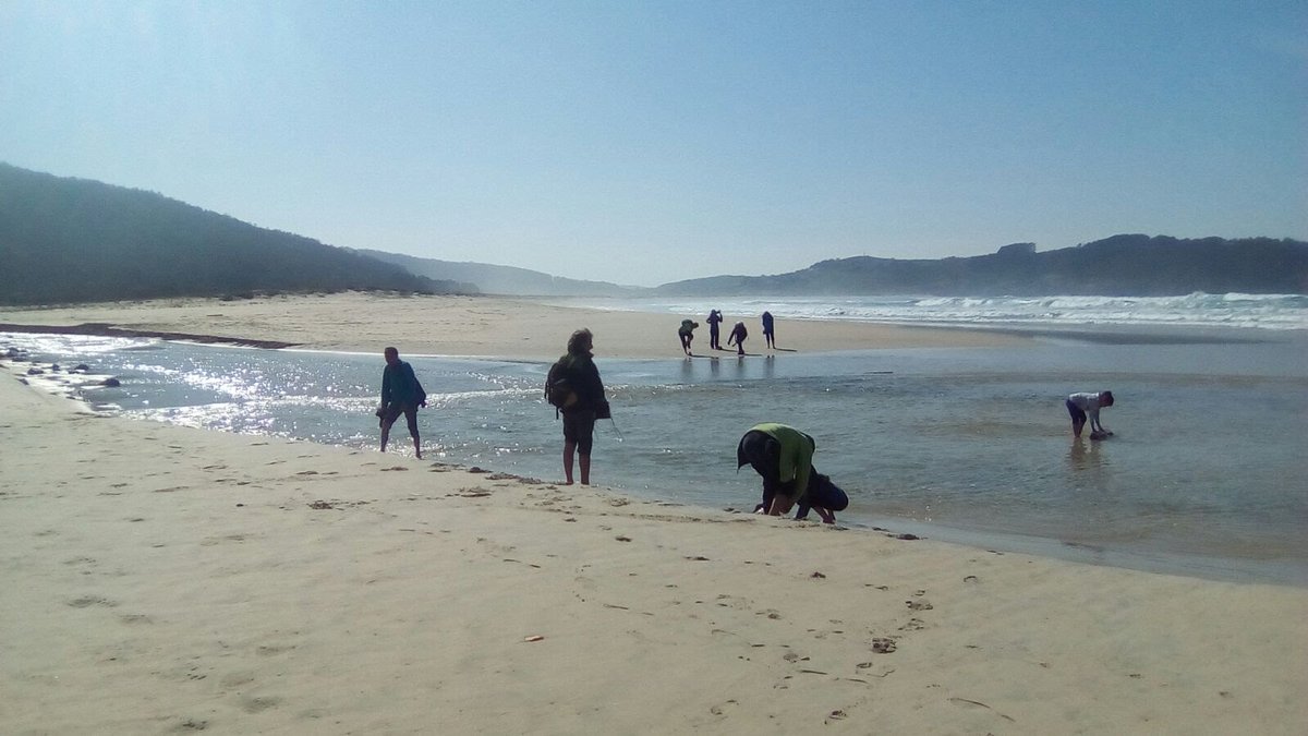 Hoxe levamos as Aulas Verdes ao río Esmelle e os seus muíños ata a desembocadura no océano. Día soleado desfrutando da Costa Ártabra #Ferrol #Sendeirismo