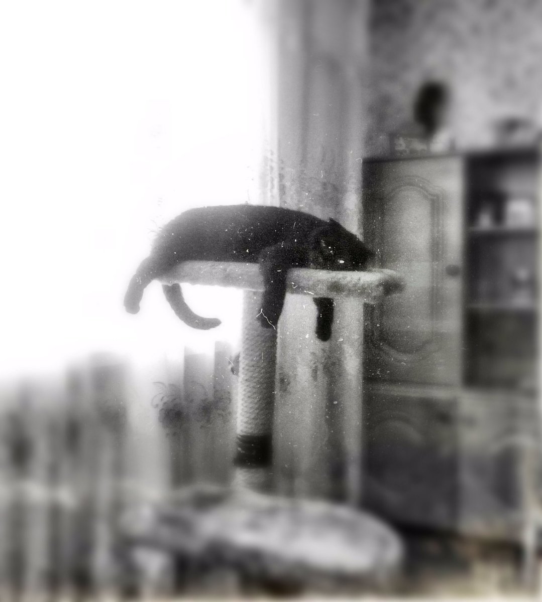 Друзья,дело в том что я немного не в настроении👁Мы отдали Моню🐱Я не буду говорить причину,но так надо😢Попытаюсь хоть как нибудь поднять настроение,видео выйдет в среду,по расписанию📘

ТЫ НАВСЕГДА ОСТАНЕШЬСЯ В МОЁМ СЕРДЦЕ❤️❤️❤️