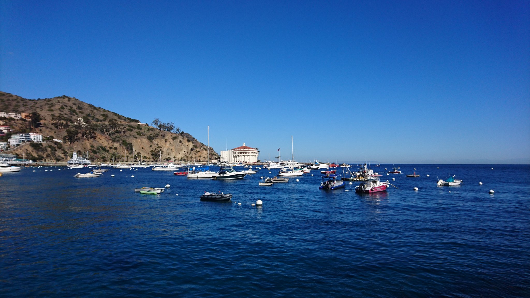 カタリナ島 Twitter Search Twitter