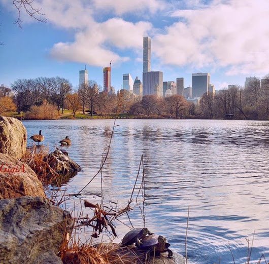 OraliaSotoRoman's tweet photo. Central Park, New York. https://t.co/6ZxNUvPDUX