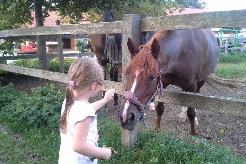 Bitte hilft!

Klicke hier, um die Kampagne „Therapiemaßnahmen notwendig“ von Elias Wehrle zu unterstützen gofundme.com/majas-fund:?pc=tw_dn_cpgnpg_a&amp;rcid=43953e6272884bdc8aa8c8f7381a7c09 <a href="/gofundme/">GoFundMe</a>