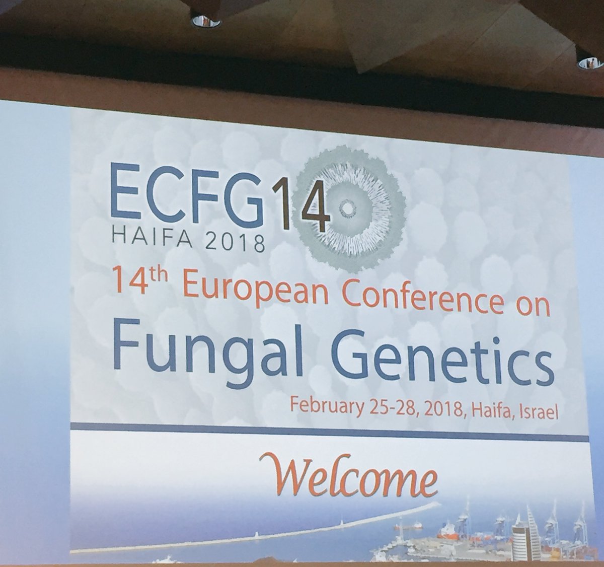 EGoulin's tweet photo. Here we are! #ECFG14 https://t.co/ToEGhdqRHD