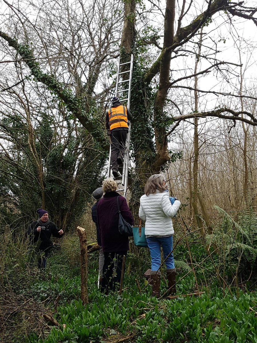 Truro in Bloom tweet media