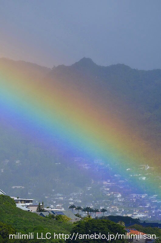 الوسم ハワイの虹 على تويتر