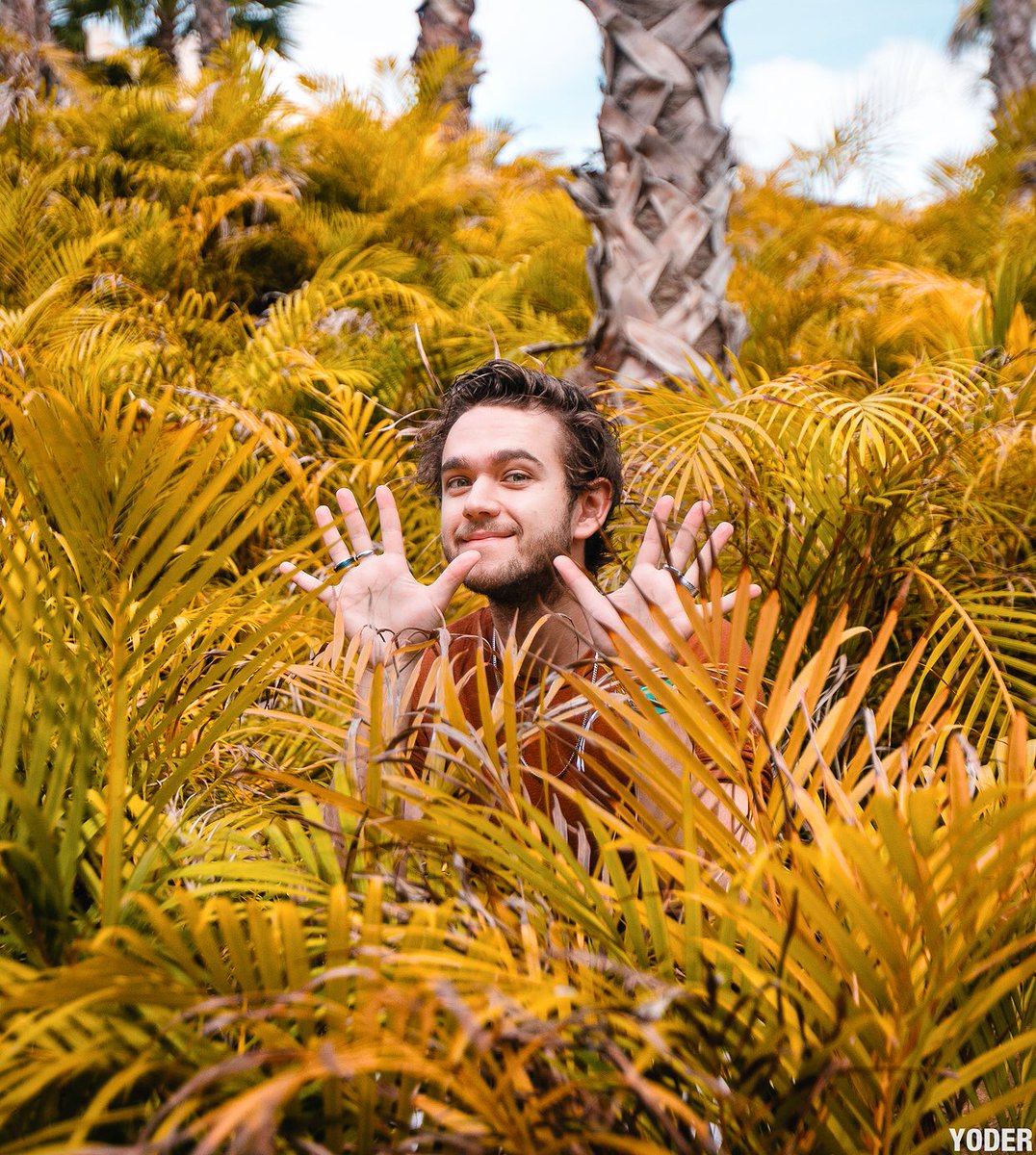 Zedd's tweet photo. Peekaboo 👐 https://t.co/jli2E0ICF6
