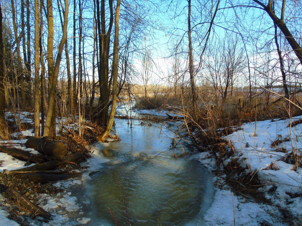 CatharineYogi's tweet image. Lovely end to what started as a bad weather day! #trailwalk #sunshine #SignsOfSpring #GetOutAndWalk ❤️