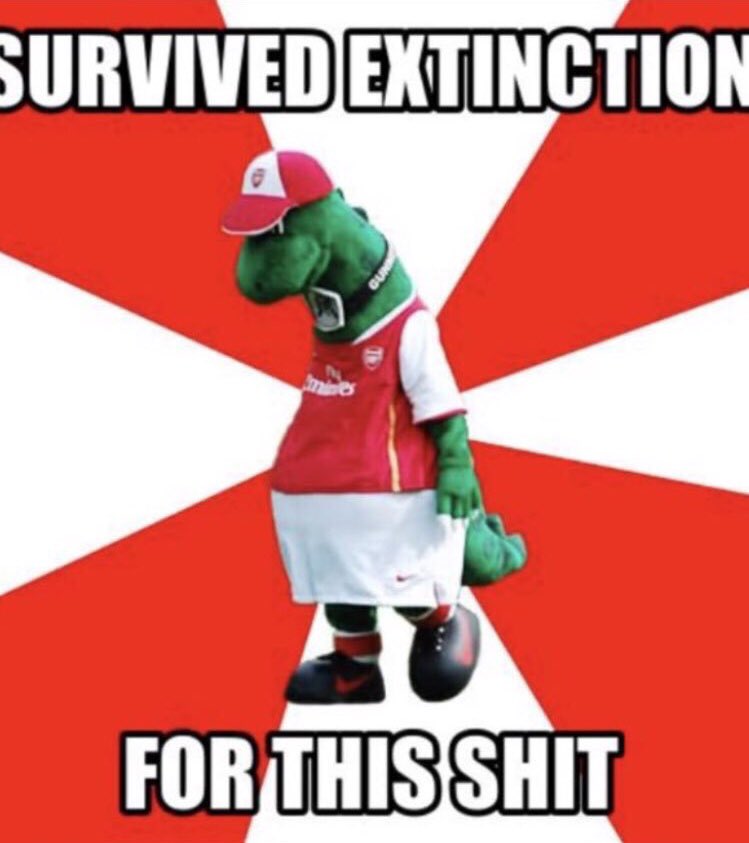 simenwinter's tweet image. 