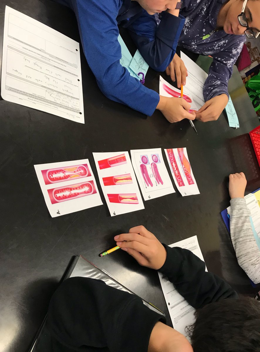 MsFeidenScience's tweet photo. After a week-long break, I am feeling recharged and excited to get back to teaching my kids about the body systems #girlswholovescience 👩🏻‍🔬 #studentswholovescience #ms167 https://t.co/weC66U2iBB