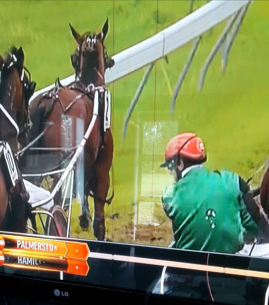 fencetalknz's tweet photo. If it really is good luck Johnny Morrison should be driving a stack of winners in the next week #seagulls1 #johnny0 https://t.co/uIWqNrMyVb