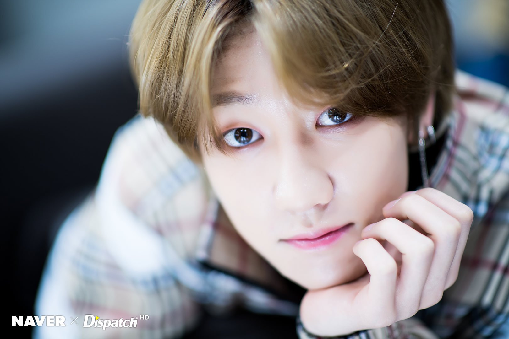 INDONESIAN CARATS on Twitter: "[PICS] Naver x Dispatch update with