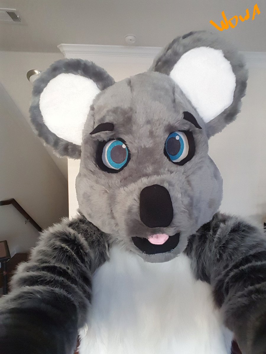 Executive Koala tweet media
