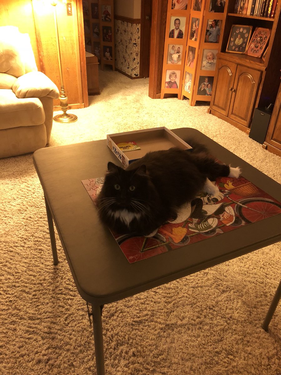 shellykoelper's tweet photo. Puzzle day with Jimmy https://t.co/1MJ9cBhslm