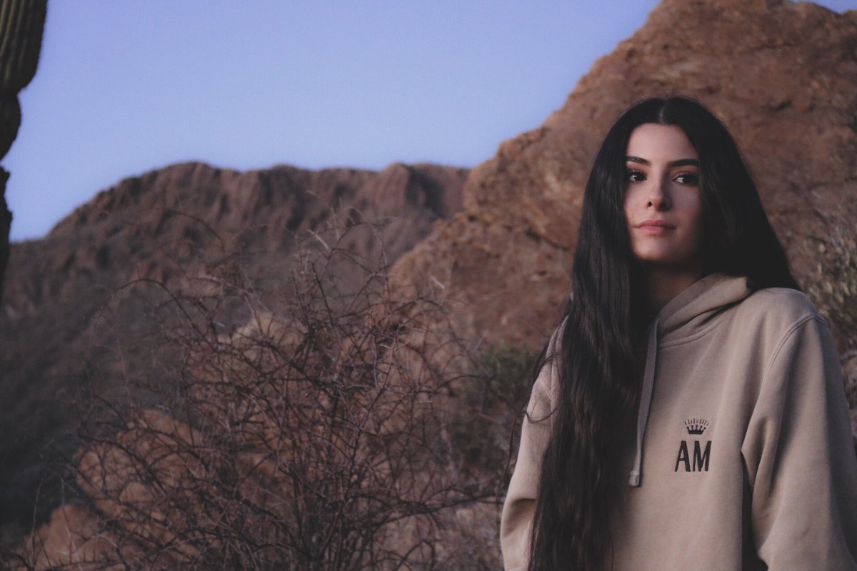 AmMonarchy's tweet photo. Stitched Hoodies available in two colorways on the site! Link in bio https://t.co/r72jdUvmtl