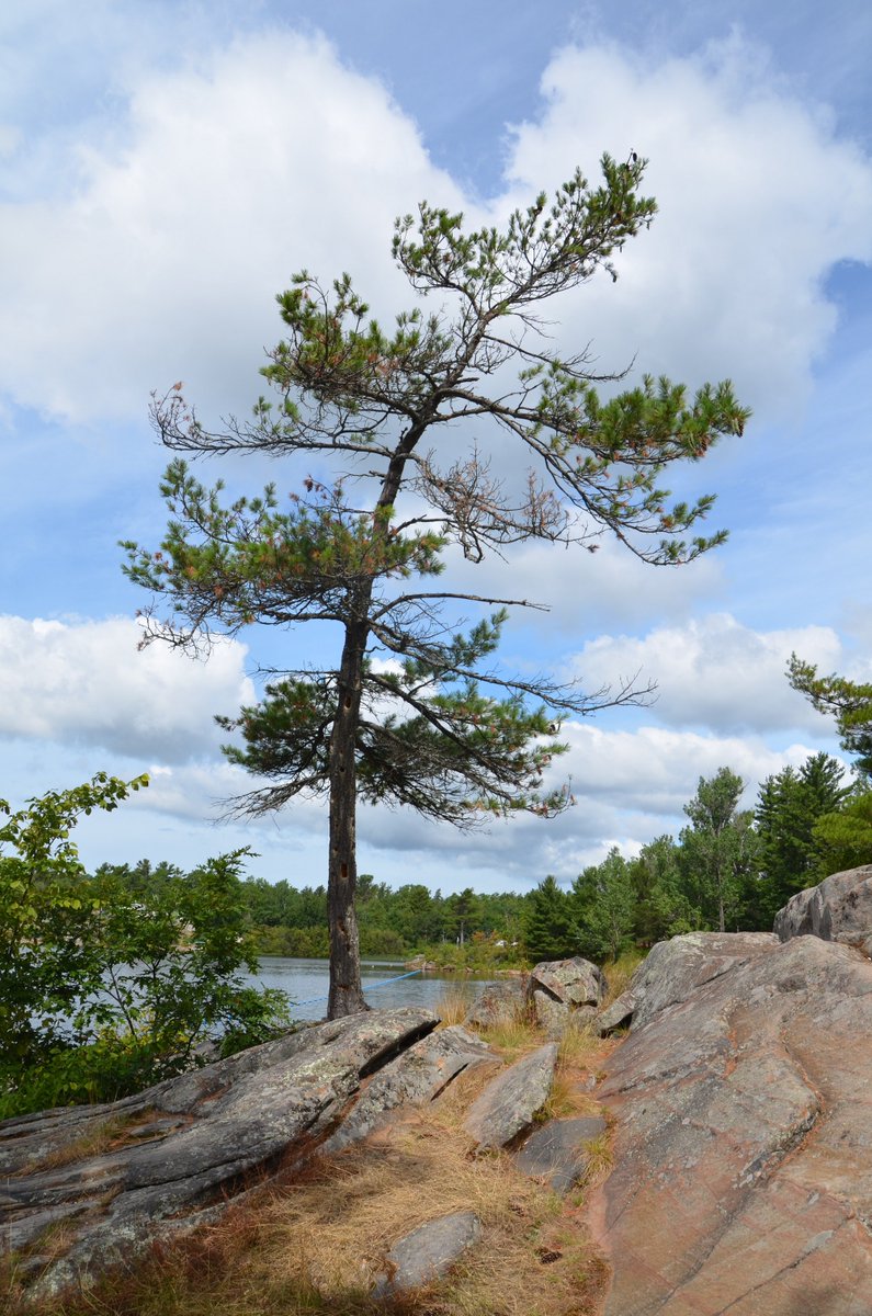Ontario Parks tweet media