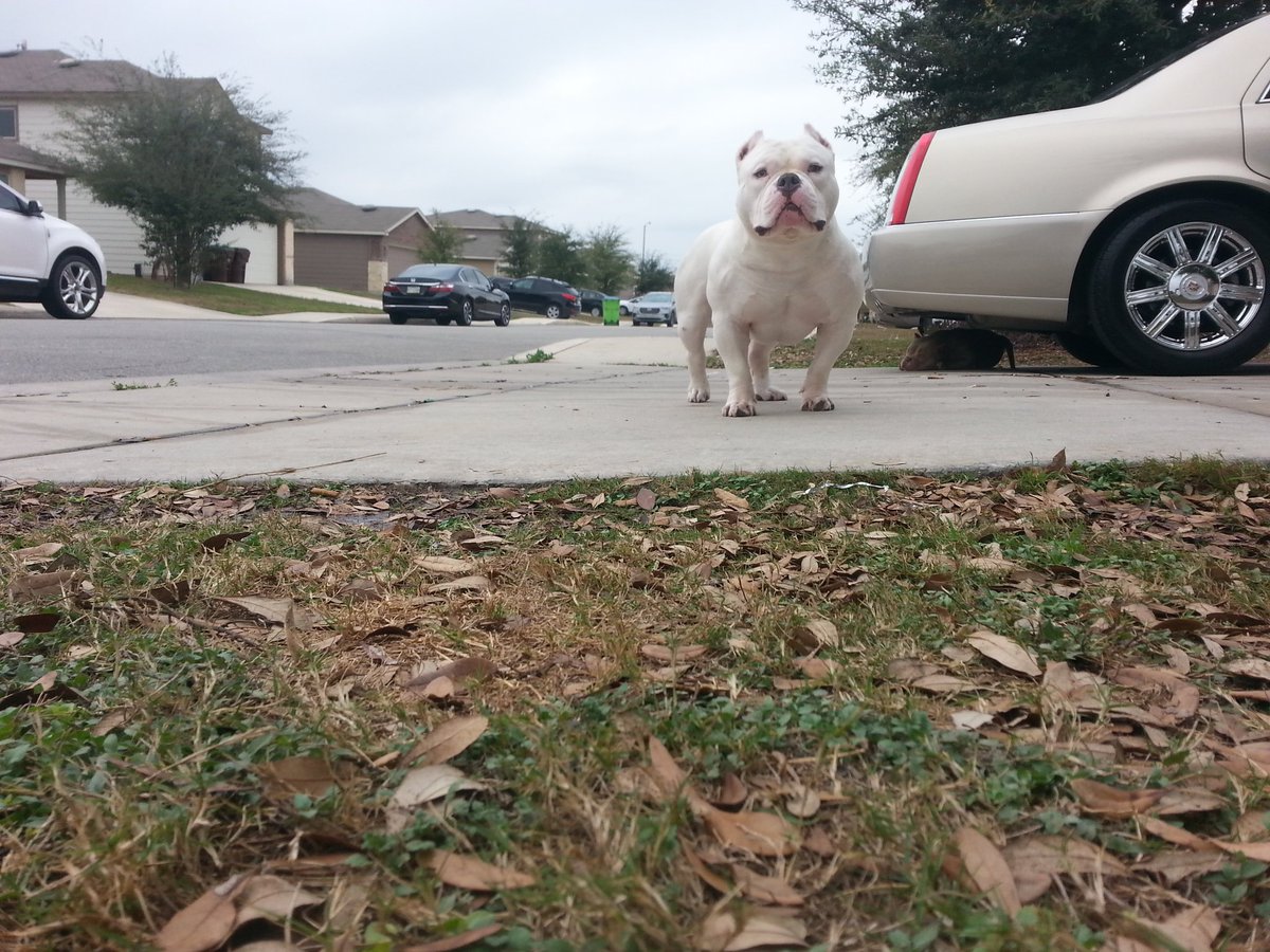 goodlow's tweet image. #theabkc