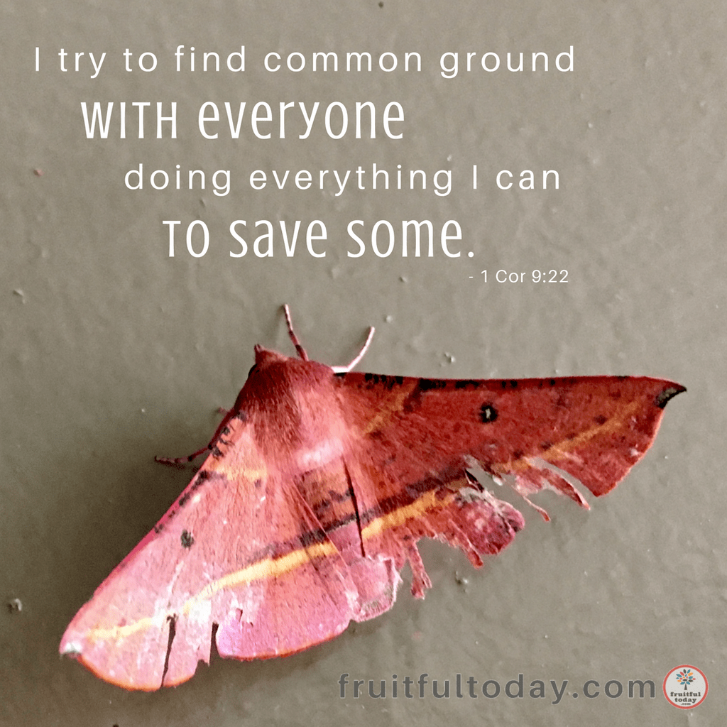 Finding Common Ground for God’s Glory (1 Cor 9:22) fruitfultoday.com/finding-common…