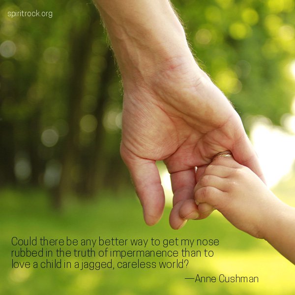 Anne Cushman (@anne_cushman) on Twitter photo 