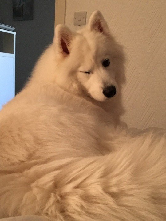 soldlua's tweet photo. https://t.co/OSGSQPlcjR
