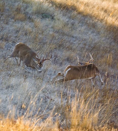 OutdoorObsessor's tweet photo. Is it October yet https://t.co/lGn0tqhpQw
