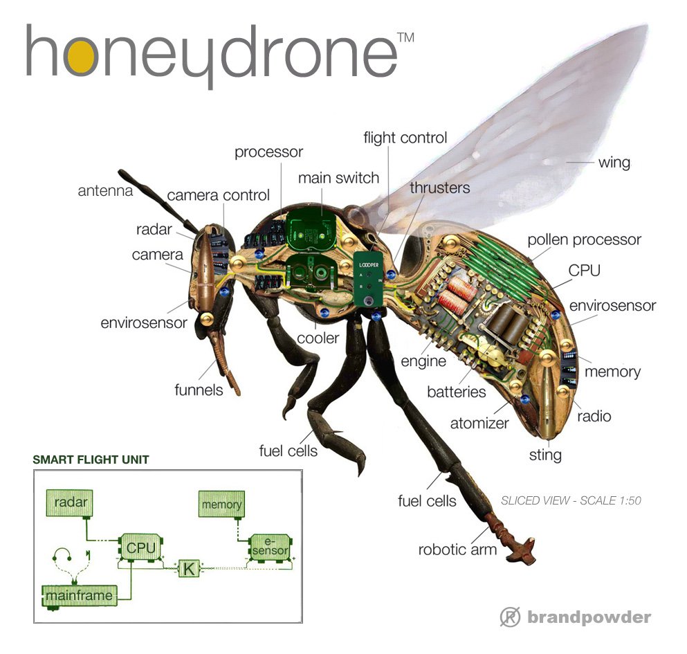 videnskabelig egetræ nabo Homestead Honey on Twitter: "#Robot #bees: Bee-sized #drones to #pollinate  crops https://t.co/f2DfqY0XV4 https://t.co/cjkE0ZUC6K" / Twitter