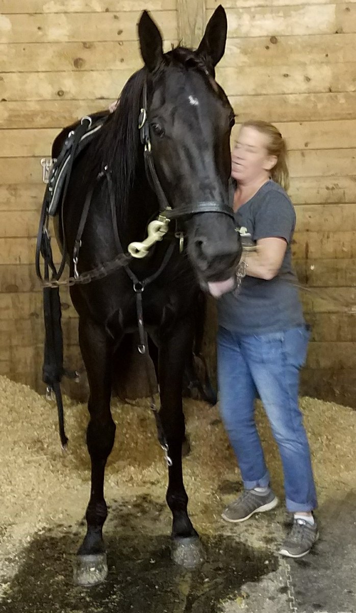 Rick Rothfuss (@R3DVM) | Twitter