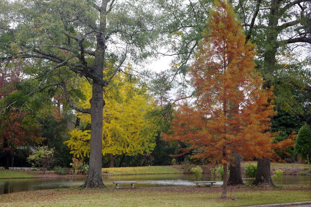 photo_wise's tweet photo. Birmingham, Alabama https://t.co/hu3bEbazC3 https://t.co/JsV9mE6TD8