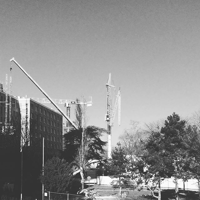 cranelife's tweet image. #morningcrane #dailycrane #cranewatching #pariscranes #folding #gp #sicra #telescopic #cranebusiness #cranelifeornolife #cranelife