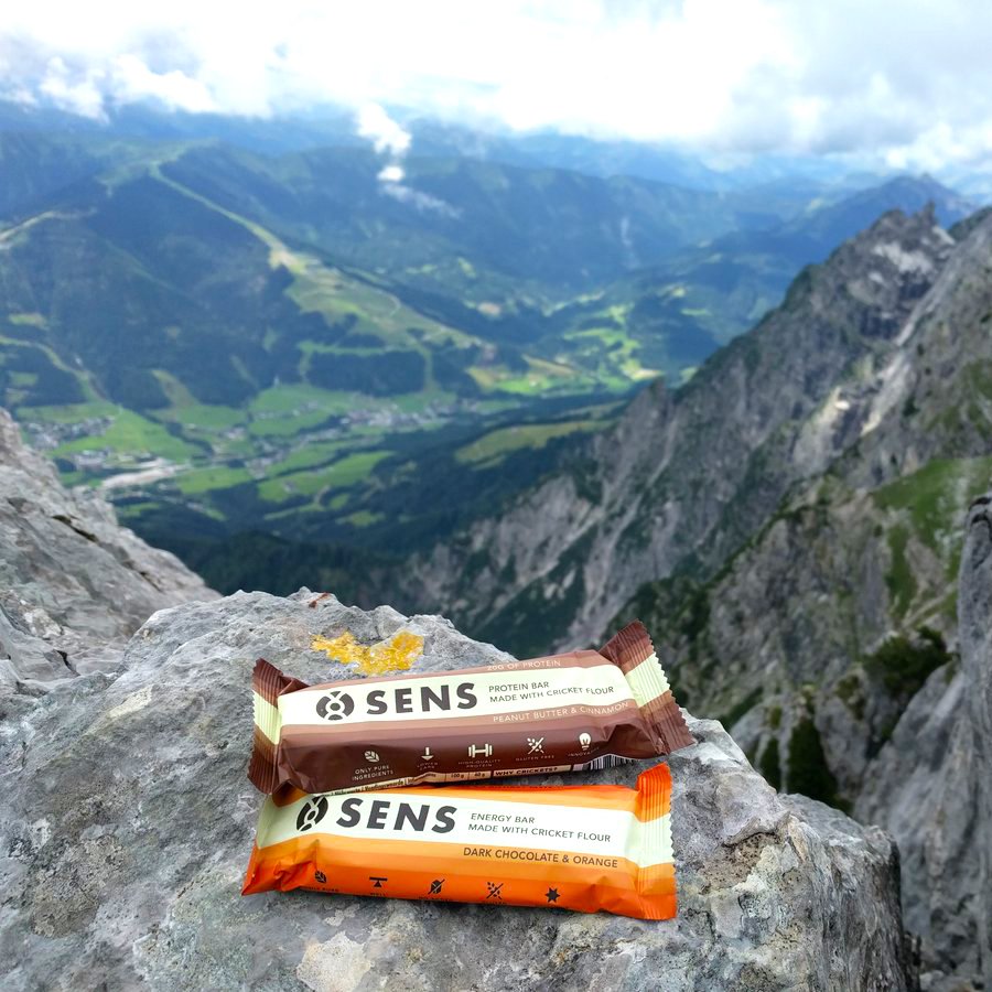 SensFoods's tweet image. Make your time in the mountains worth it. In many ways, animal based proteins are superior to the ones coming from plants. Unsurprisingly, animal based and insects based proteins are of the same quality. #protein #hiking #vegan