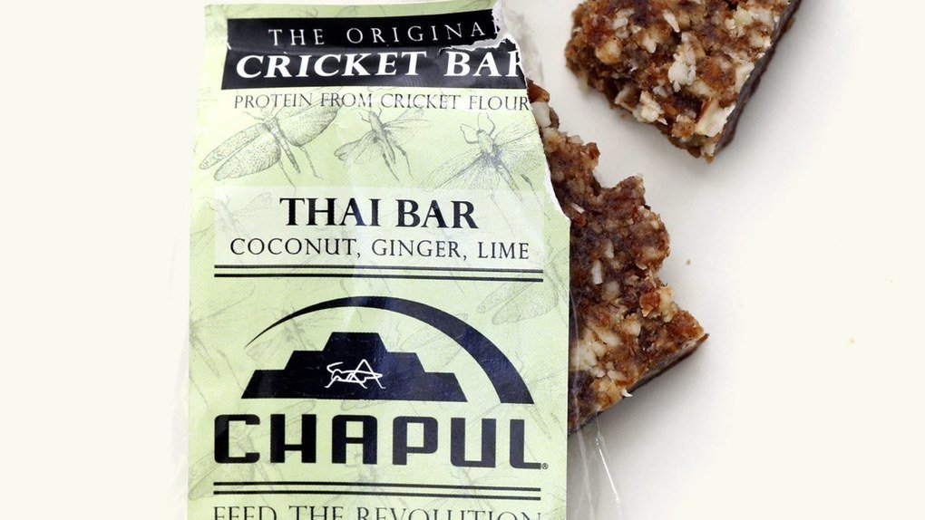 AnaCDay's tweet image. Why Cricket Protein Powder Is Whole30 Founder Melissa Hartwig's New Obsession | Healthyish sco.lt/7t4Beb