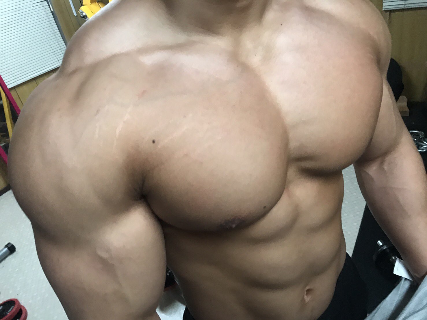昨日の胸の筋肉痛やばい 二日間トム先輩のジムでトレさせてもらって似た重量の人とかデカイ人と一緒に筋トレするとかなりいい刺激になる それにしてもトム先輩のジム盛れすぎてヤバイ T Co Eljrxf9gpj Twitter