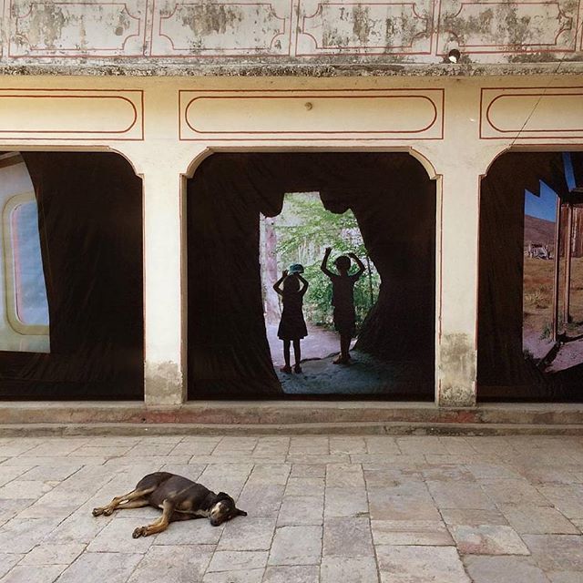 JaipurPhoto2017's tweet photo. Jason Fulford (@mushroom_collector)'s work at the Former Police Headquarters, opposite the Hawa Mahal main entrance.

In the foreground is Tommy, the resident watchdog.

Photograph by Jason Fulford https://t.co/mfcdPy8cfP https://t.co/nw53iMvr8U