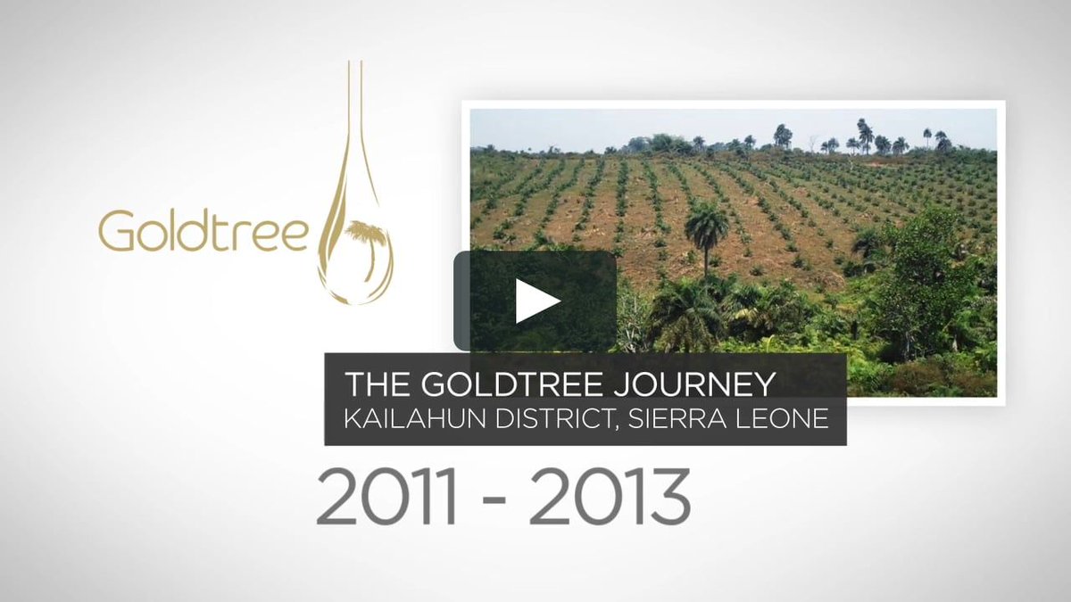 PhatisaGroup's tweet photo. Goldtree is a large-scale, commercial palm oil plantation and milling company in #Sierra Leone. @PhatisaGroup and partners funded the re-establishment of the plantation’s commercial operations. #DrivingDevelopmentEquity #PrivateEquity #Africa https://t.co/CZmnOdYIGL https://t.co/HyfKNgnsqo