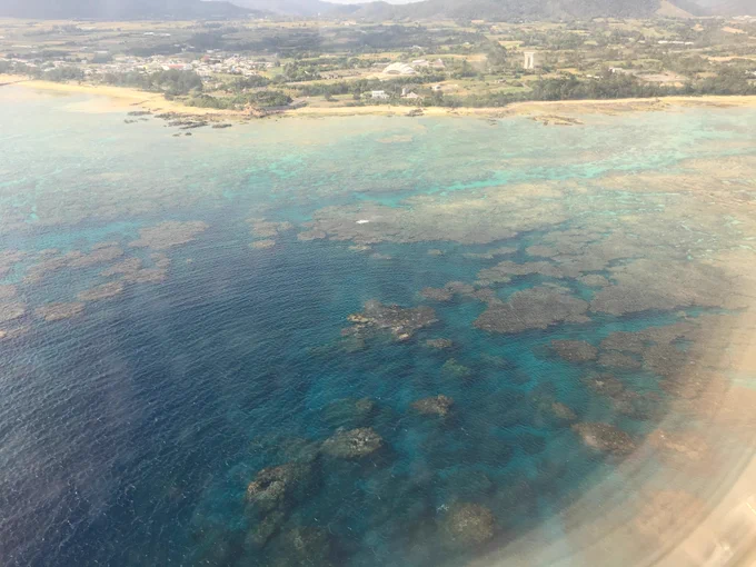 奄美大島に来ていた㌧!
海と空がとても綺麗だった㌧!!
イベントが新聞に取り上げられて嬉しかった㌧♪
#CASTONの旅行記 