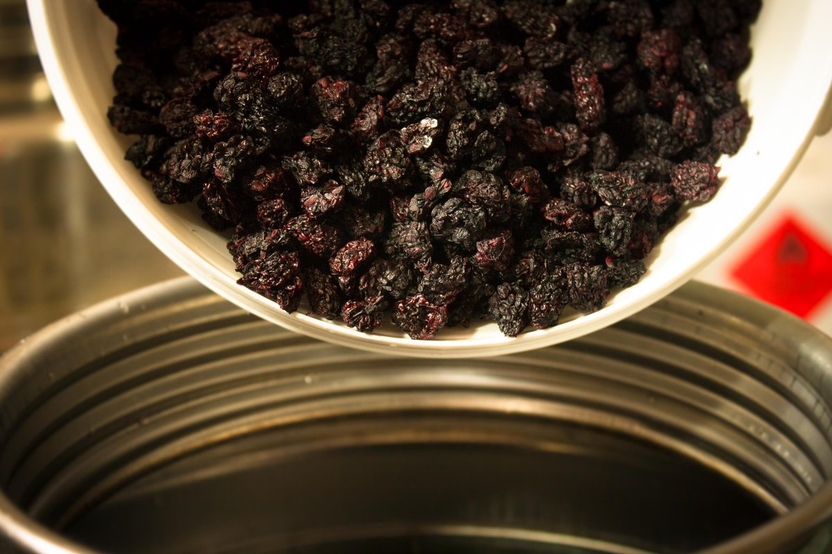 NZ Karaka Blackberries house dehydrated &amp; adding to new batch of Elemental Blackberry &amp; Balsamic Bitters

Agitate each day, monitor ambient temperature and dream sweet dreams of shrub enriched cocktails

#ElementalBitters #NZBitters #Handmade #NZMade #ElementalDistillers