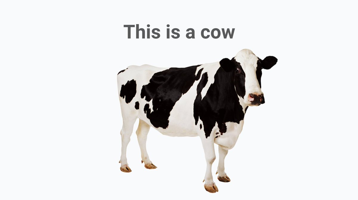 Bart Blommaerts tweet media