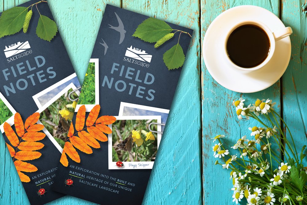 Saltscape tweet media