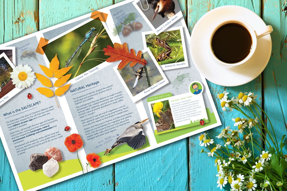 Saltscape tweet media