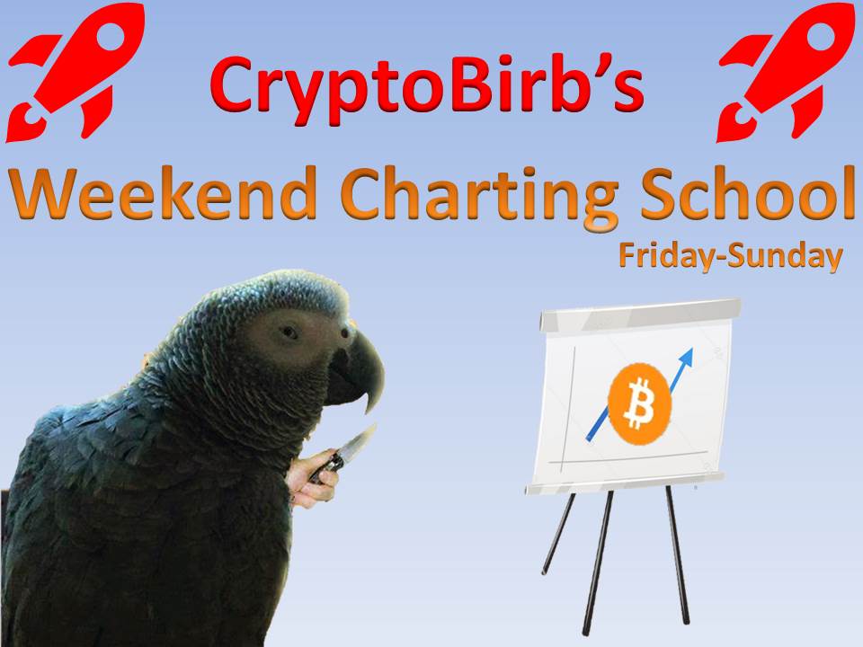 🚀#cryptobirbs community🚀
📈Weekend Charting School📈

I will be choosing 1 lucky birb DAILY FOR FREE access to
Weekend Charting School🎁

To enter RT, like,comment birb gif🚀

👌EVERY Friday-Sunday
👌Master Charting&amp;TA
👌Tips&amp;Tricks
👌Fee 0,001btc
👌10 fastest RTs->get FREE