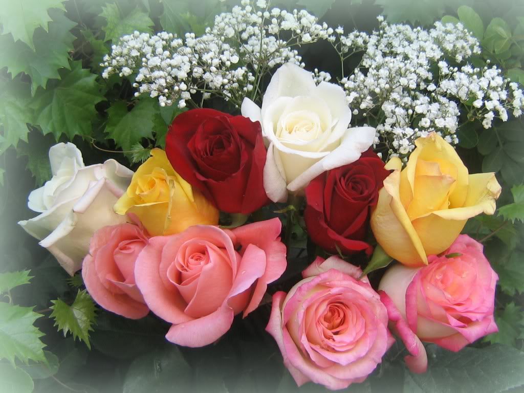 Поздравление с живыми цветами. Красивые цветы. Букет цветов. Букет "день рождения". Живые цветы.