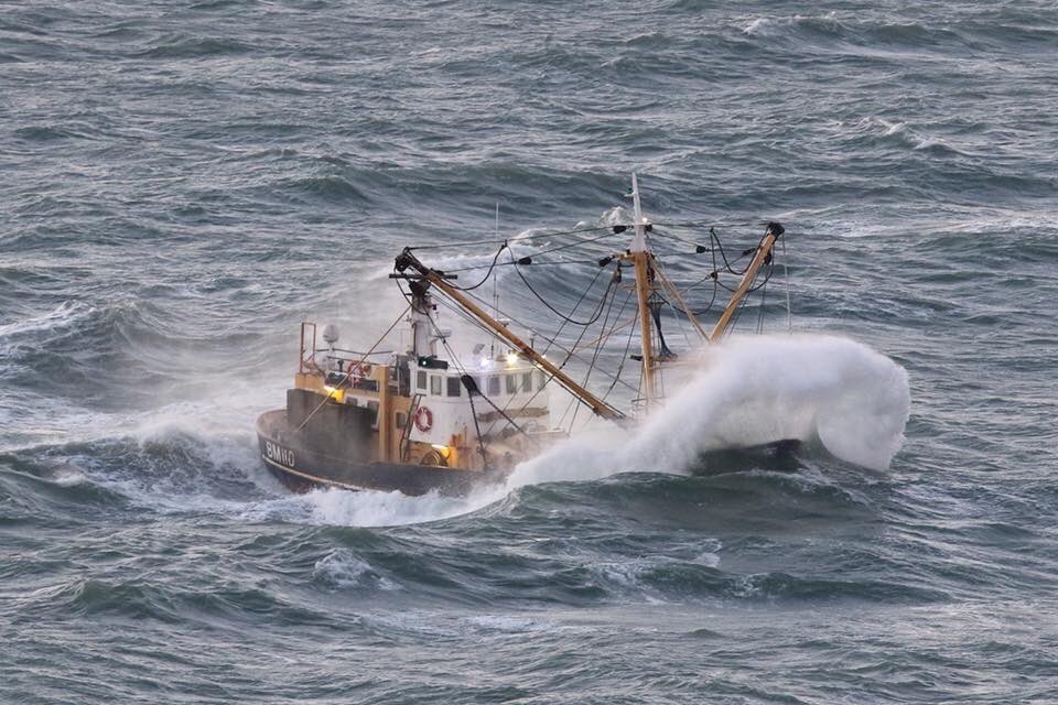 Few pictures taken by local photographer (Alan Letcher)  Brixham beam trawler LADY LOU steaming out #intheblood #brixhamfishmarket