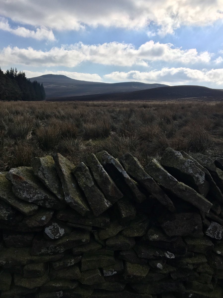trekkingskills's tweet photo. Making the most of the good weather today with a couple of laps around Win hill and The edge of Derwent water. A lovely Scottish “Glenmore” feel to forest around Derwent near Ladybower. #PeakDistrict https://t.co/QgVEiZTXPD