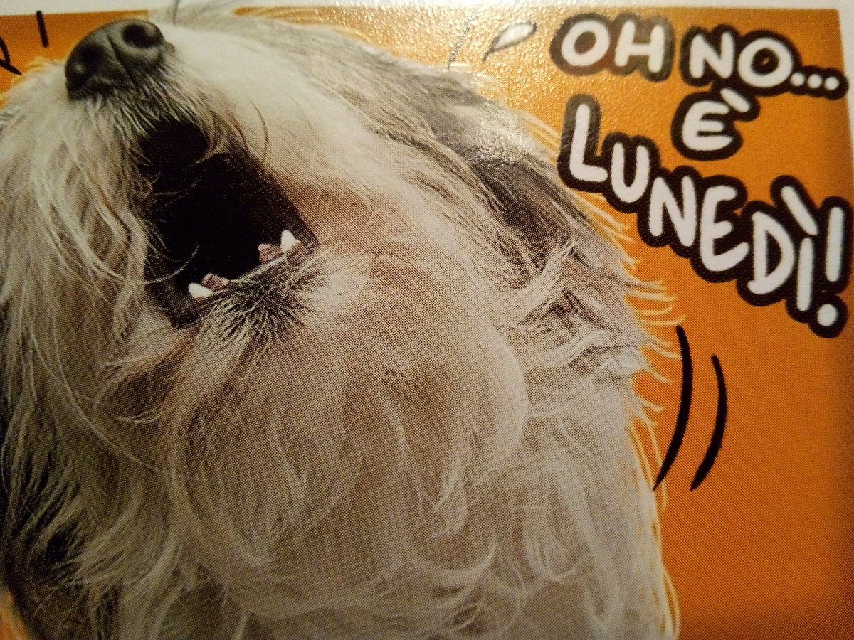 <a href="/omegasaxJoe/">Joe Hill #WWG1WGA</a> @deargoya_goya <a href="/Edie0326/">⭐️EDIE⭐️</a> <a href="/ChronicPainDad/">Chris✞chronicpainDAD</a> <a href="/crvallotton/">i: a Woman. ❤️Question everything!</a> <a href="/GreekKoresaki/">DOXA</a> <a href="/jolene588/">☠Jolene☠</a>