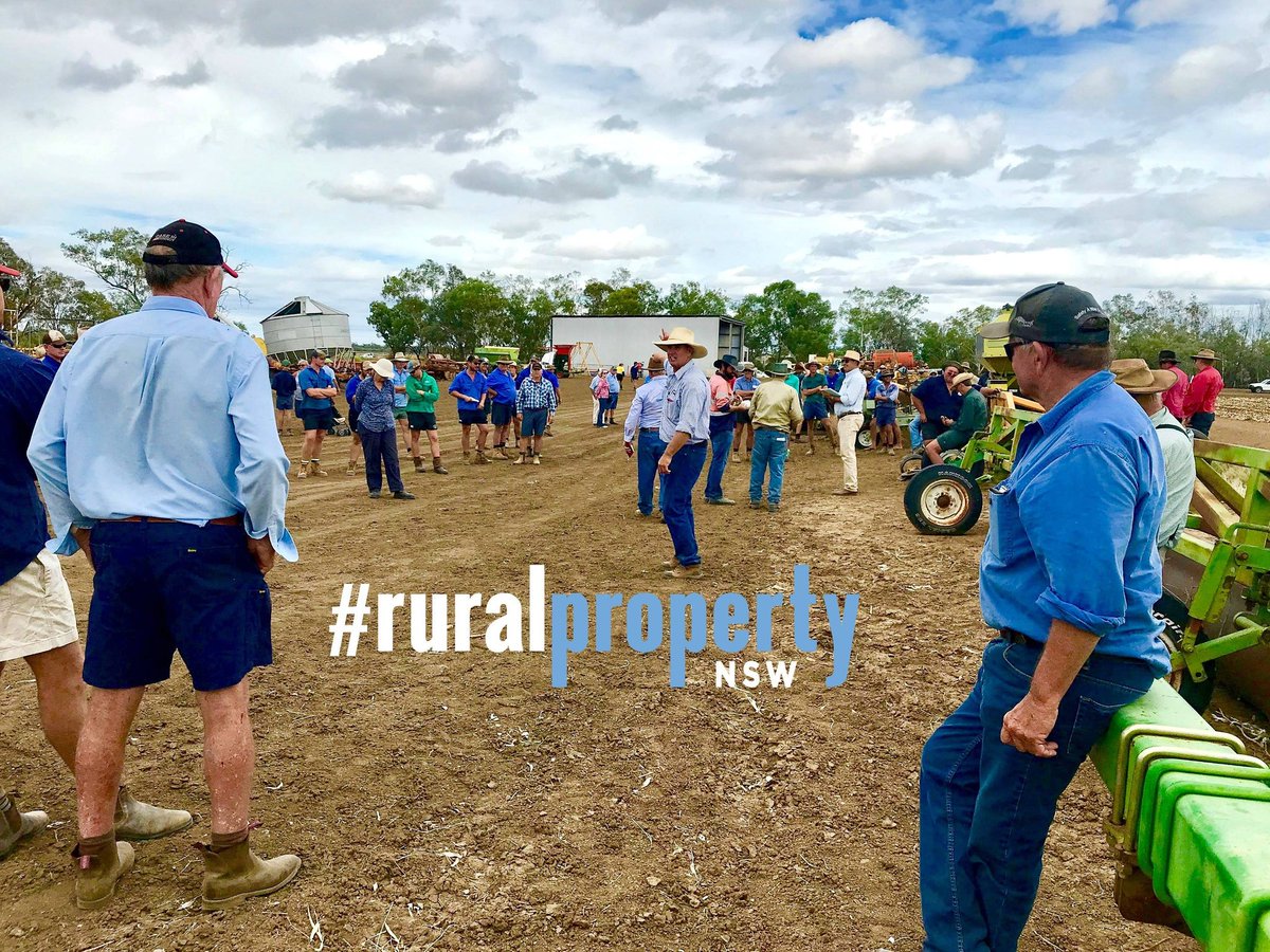 GuestML's tweet image. Some of the action from the Parish Clearing Sale last Friday. Thank you to everyone who attended and to the Wee Waa Rotary Club for running the all important BBQ 
#ruralpropertynsw