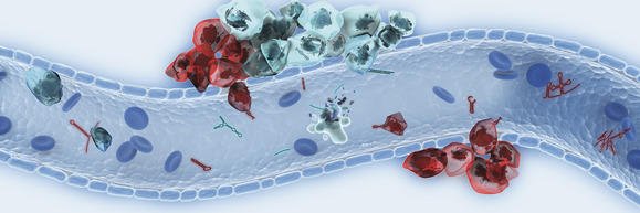 download trace elements