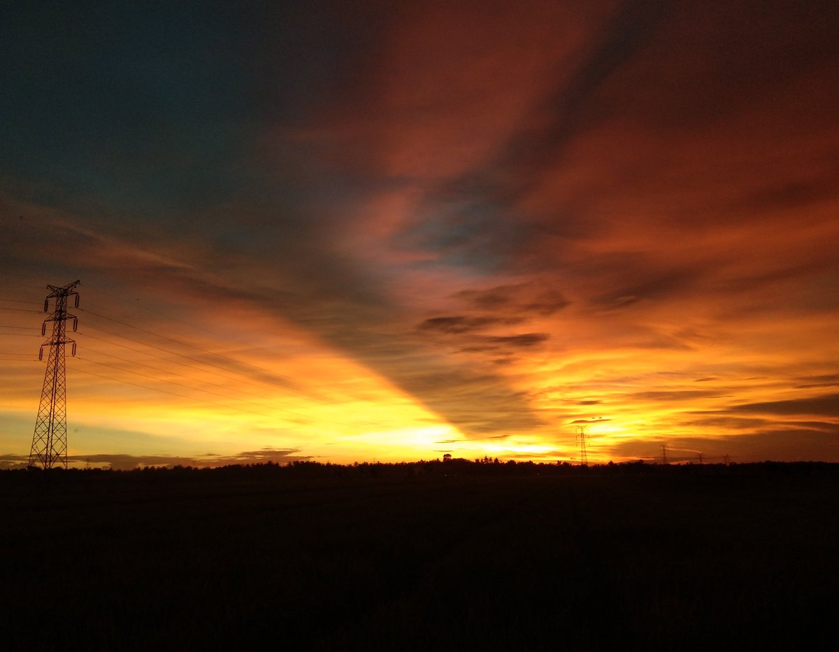 Wirabhumi's tweet image. #panjatan #explorekulonprogo #bhumi  #potret #photo #jogjakartaistimewa #kulonprogo #green #hijau #sepeda #pemburulangit #birulangit #sky☁ #vivo