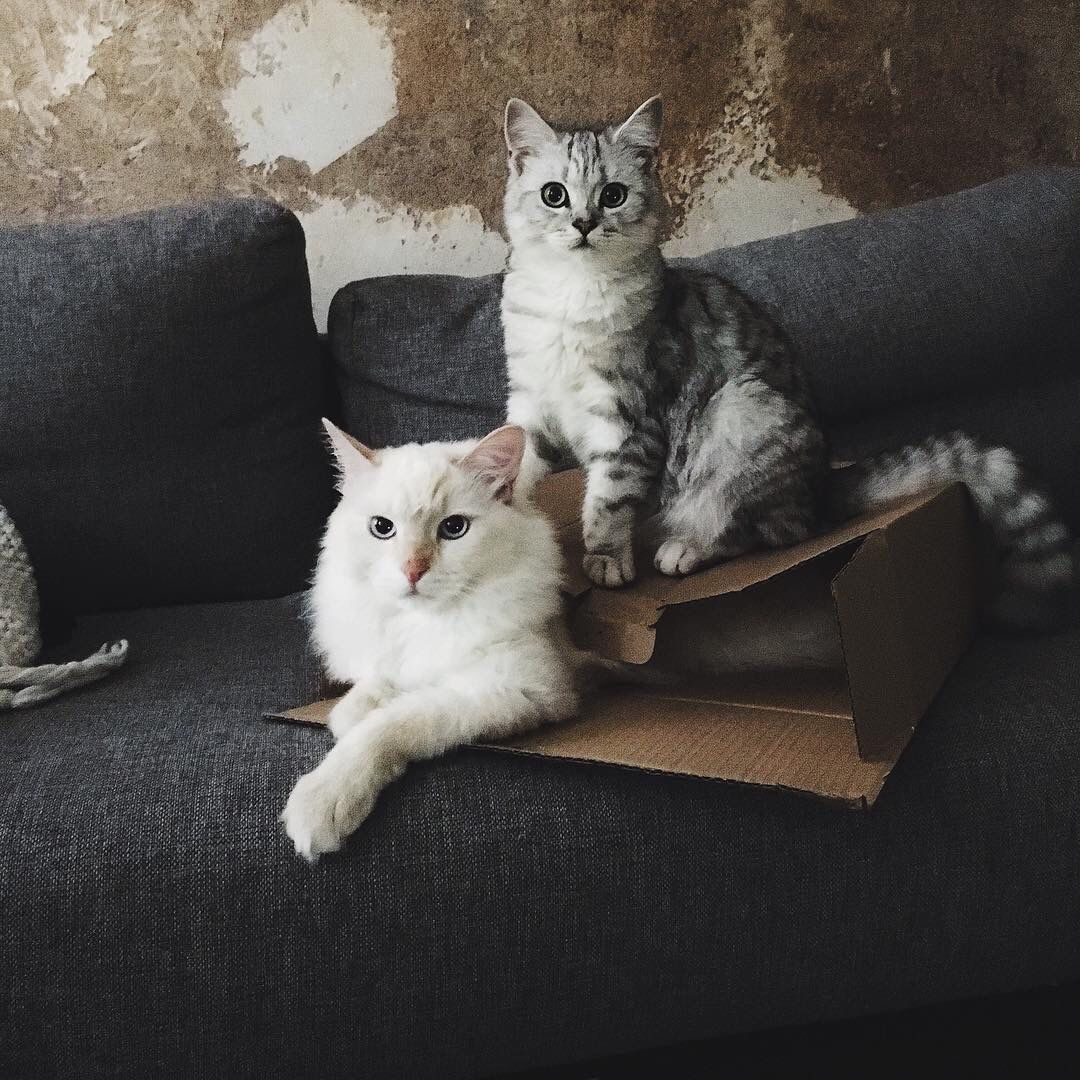 minimalismar's tweet photo. https://t.co/Ngc39wTG1j