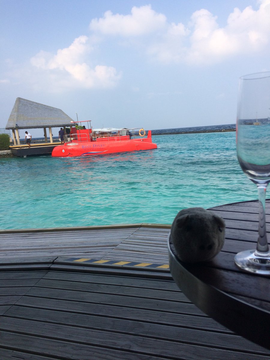 CollingeAnnette's tweet photo. and last week I was in the Maldives https://t.co/0Nb6ct9oYL